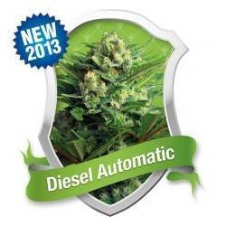 legend