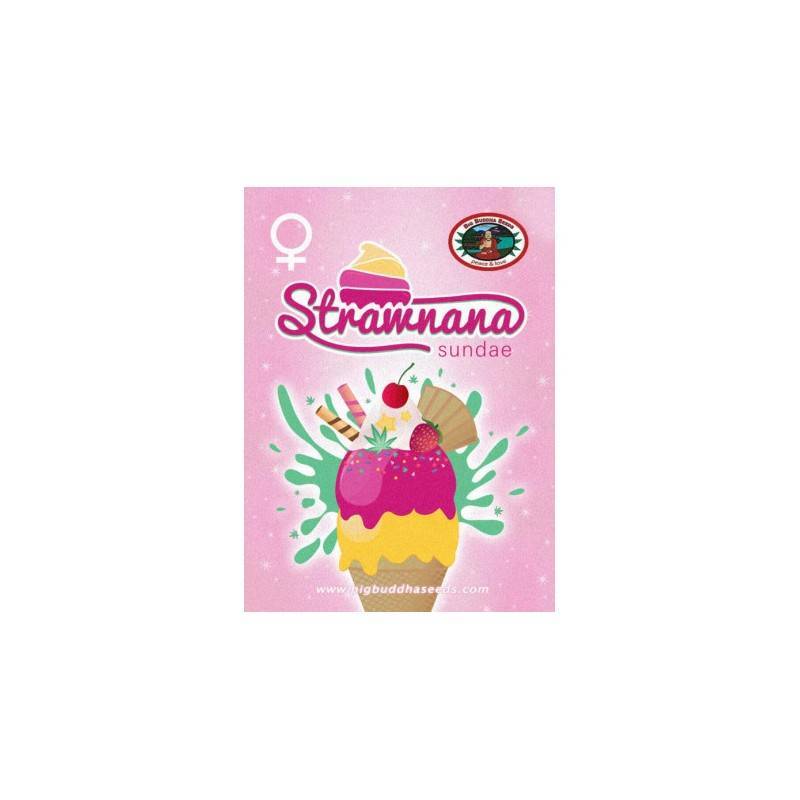 STRAWNANA SUNDAE · Big Buddha Seeds · kenevir tohum · Disi · Fem