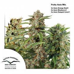 FRUITY AUTOFLOWER MIX ·...
