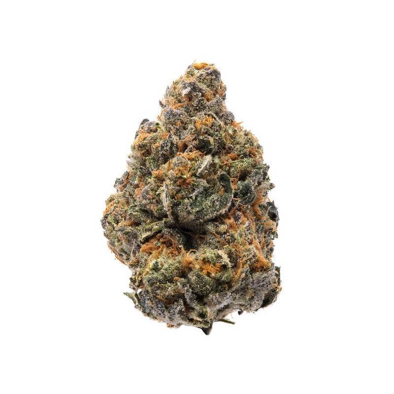 THE NEW · Humboldt Seeds Organization · cannabis seeds · Fem