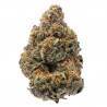 THE NEW · Humboldt Seeds Organization · cannabis seeds · Fem