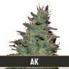 AK Auto · Blimburn Seeds · kenevir tohum · Disi · AutoFem