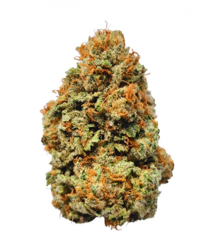 ORANGE GELATO