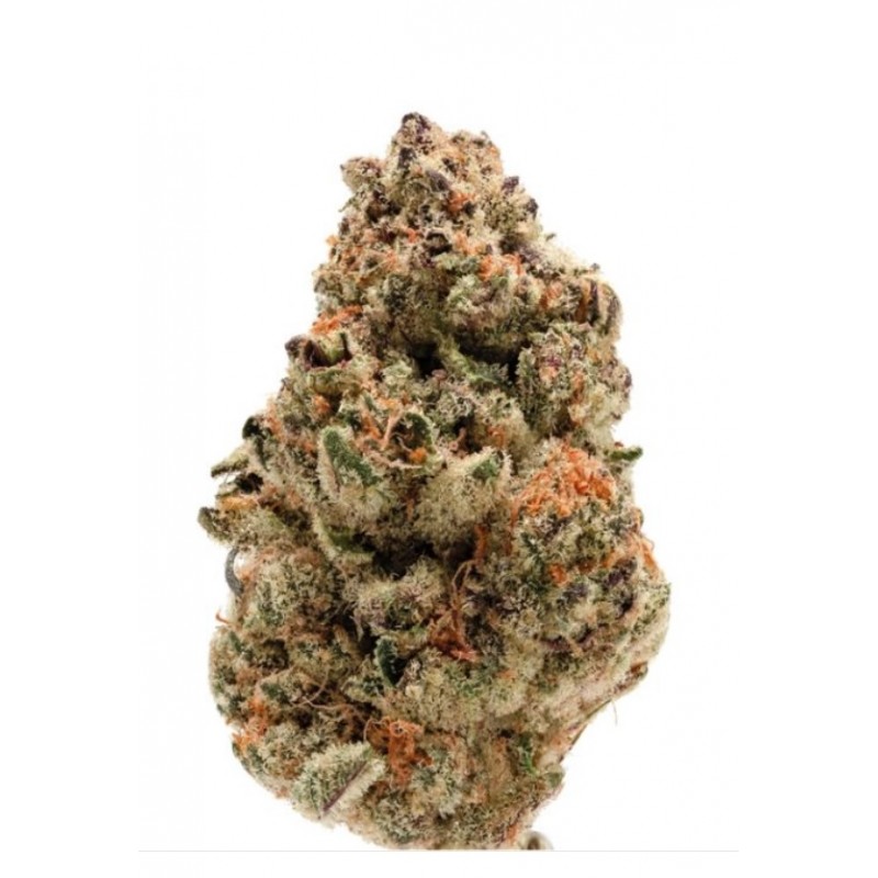 ZKITTLEZ · Dr Green Seeds · bulk kenevir tohum · Disi · Fem