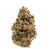 ZKITTLEZ · Dr Green Seeds · bulk kenevir tohum · Disi · Fem