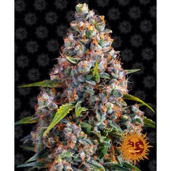 STRAWBERRY CHEESCAKE AUTO ·...