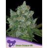 BRUCE BANNER 3 · Anesia Seeds · cannabis seeds · Fem