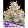FUTURE 1 · Anesia Seeds · kenevir tohum · Fem