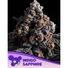 INDIGO SAPPHIRE· Anesia Seeds · cannabis seeds · Fem
