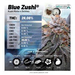BLUE ZUSHI · Dutch Passion · cannabis seeds · Fem