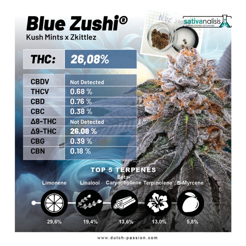 BLUE ZUSHI · Dutch Passion · cannabis seeds · Fem