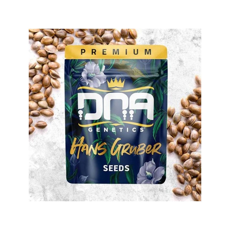HANS GRUBER · DNA Genetics · kenevir tohum · disi · Fem