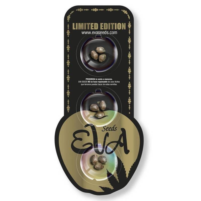 HIGH LEVEL X CHEESE · Eva Seeds · cannabis seeds · Fem