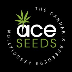 CBD 1 X MALAWI · Ace Seeds...