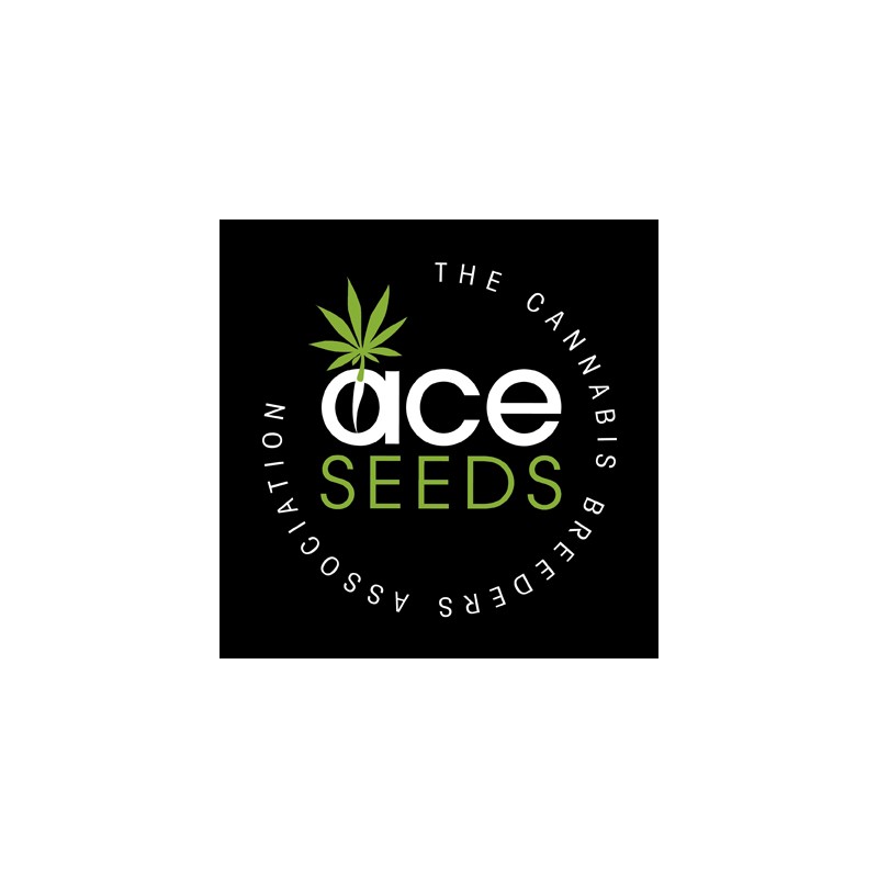 CBD 1 X MALAWI · Ace Seeds · kenevir tohum · Disi · Fem