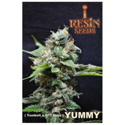 YUMMY · Resin Seeds ·...