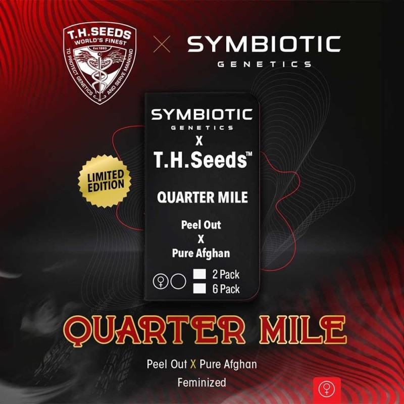 QUARTER MILE · TH Seeds · cannabis seeds · Fem