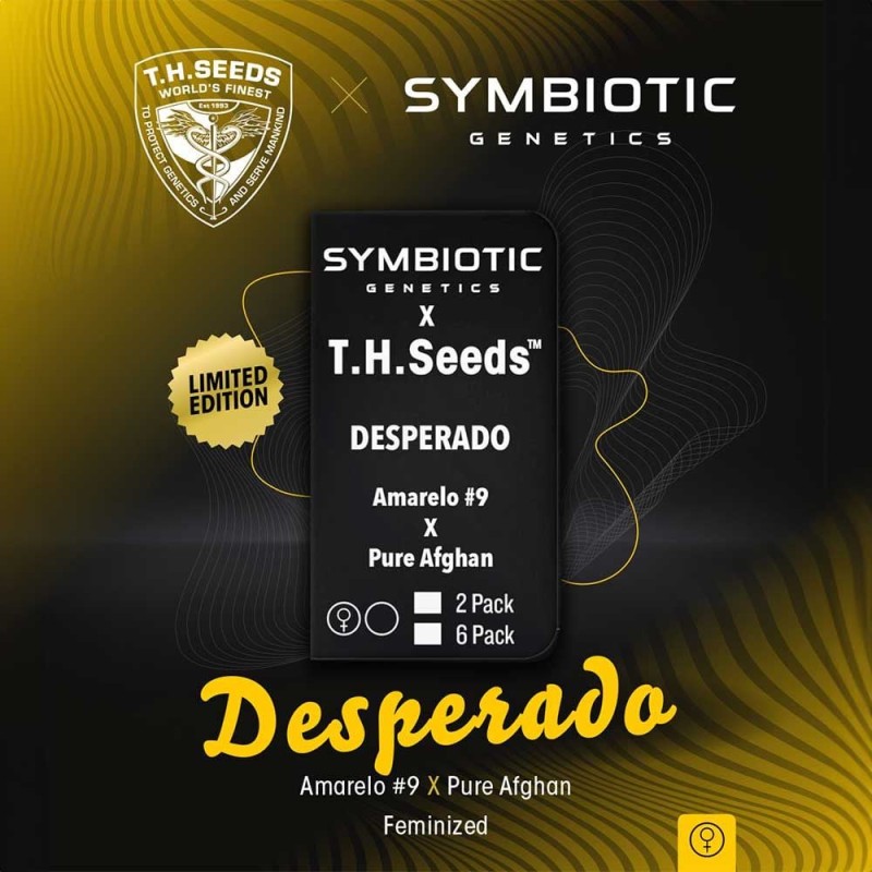 DESPERADO · TH Seeds · cannabis seeds · Fem