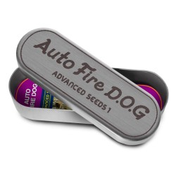 Auto Fire DOG · Advanced Seeds · cannabis seeds · AutoFem