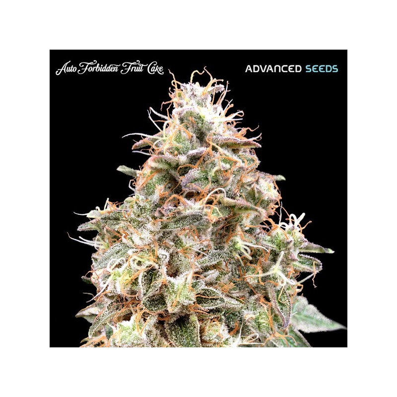 Auto Forbidden Fruit · Advanced Seeds · cannabis seeds · AutoFem