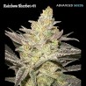 Rainbow Sherbet 11 · Advanced Seeds · cannabis seeds · Fem