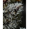 LEMON CHERRY GELATO · Barneys Farm · cannabis seeds · Fem