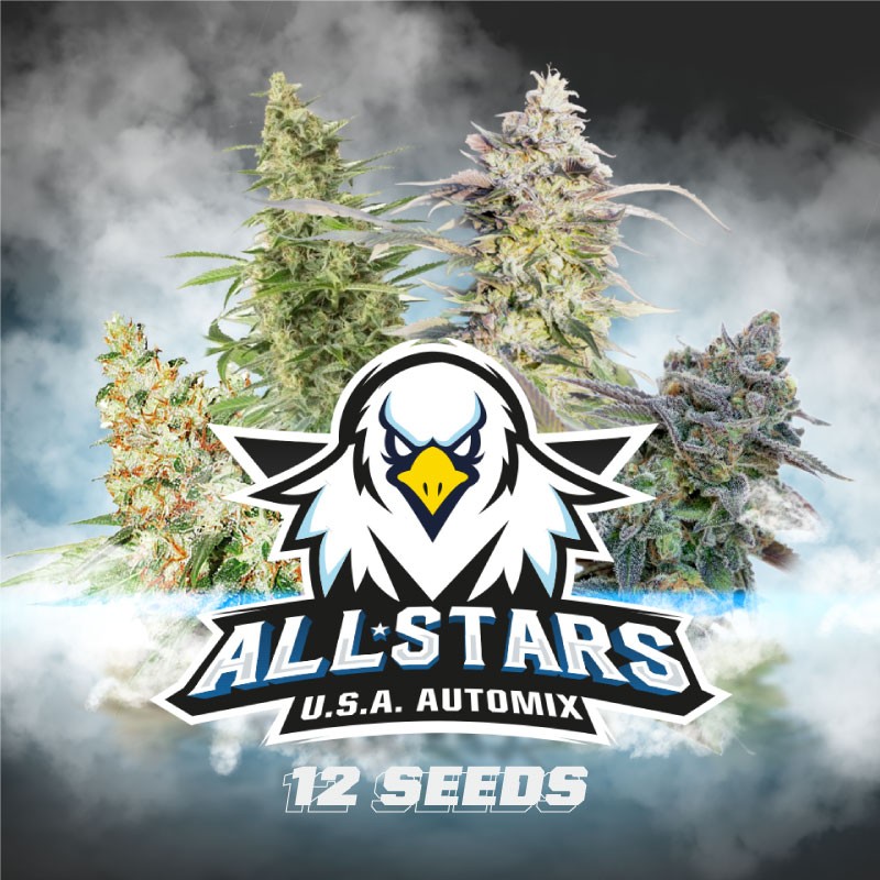 ALL STARS USA AUTOMIX · BSF Seeds · kenevir tohum · AutoFem