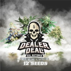 DEALER DEAL XXL AUTOMIX ·...