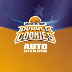 DOUBLE COOKIES AUTO · BSF...