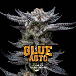 GORILLA GLUE AUTO · BSF...