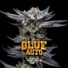 GORILLA GLUE AUTO · BSF Seeds · cannabis seeds · AutoFem