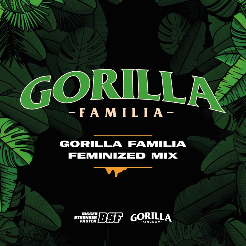 GORILLA FAMILIA FEMINIZED MIX · BSF Seeds · cannabis seeds · Fem