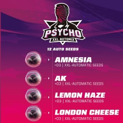 PSYCHO XXL AUTOMIX · BSF Seeds · cannabis seeds · AutoFem