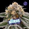 NERDZ · BSF Seeds · cannabis seeds · Fem