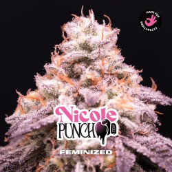 NICOLE PUNCH · BSF Seeds ·...