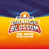 ORANGE BLOSSOM XXL AUTO · BSF Seeds · kenevir tohum · AutoFem