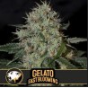 Gelato FB · Blimburn Seeds · kenevir tohum · Disi · Fem