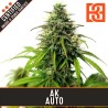 AK Auto · Blimburn Seeds · cannabis seeds · AutoFem