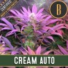 Cream Auto · Blimburn Seeds · cannabis seeds · AutoFem