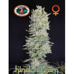 HINDU CREAM · Big Buddha...