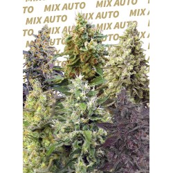SWEET MIX AUTO · Sweet...