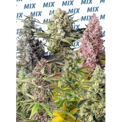 SWEET MIX FOTODEPENDIENTE ·...