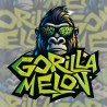 Gorilla Melon · FastBuds Seeds · kenevir tohum · Fem