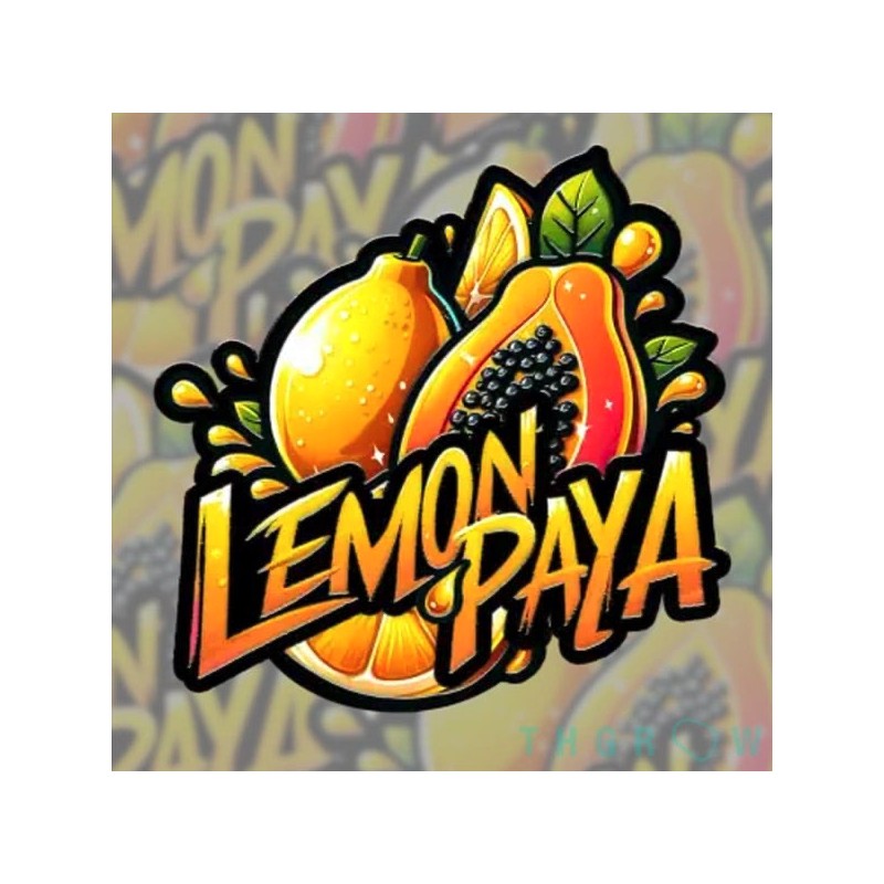Lemonpaya · FastBuds Seeds · kenevir tohum · Fem