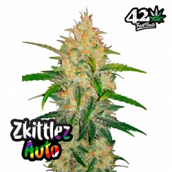 Zkittlez Auto · FastBuds Seeds · cannabis seeds · AutoFem