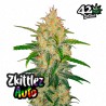 Zkittlez Auto · FastBuds Seeds · cannabis seeds · AutoFem