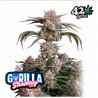 Strawberry Gorilla Auto · FastBuds Seeds · cannabis seeds · AutoFem