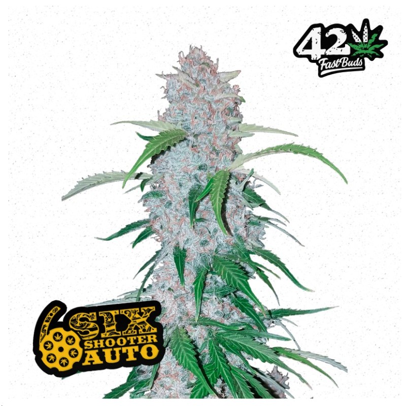 Six Shooter Auto · FastBuds Seeds · kenevir tohum · Disi · AutoFem
