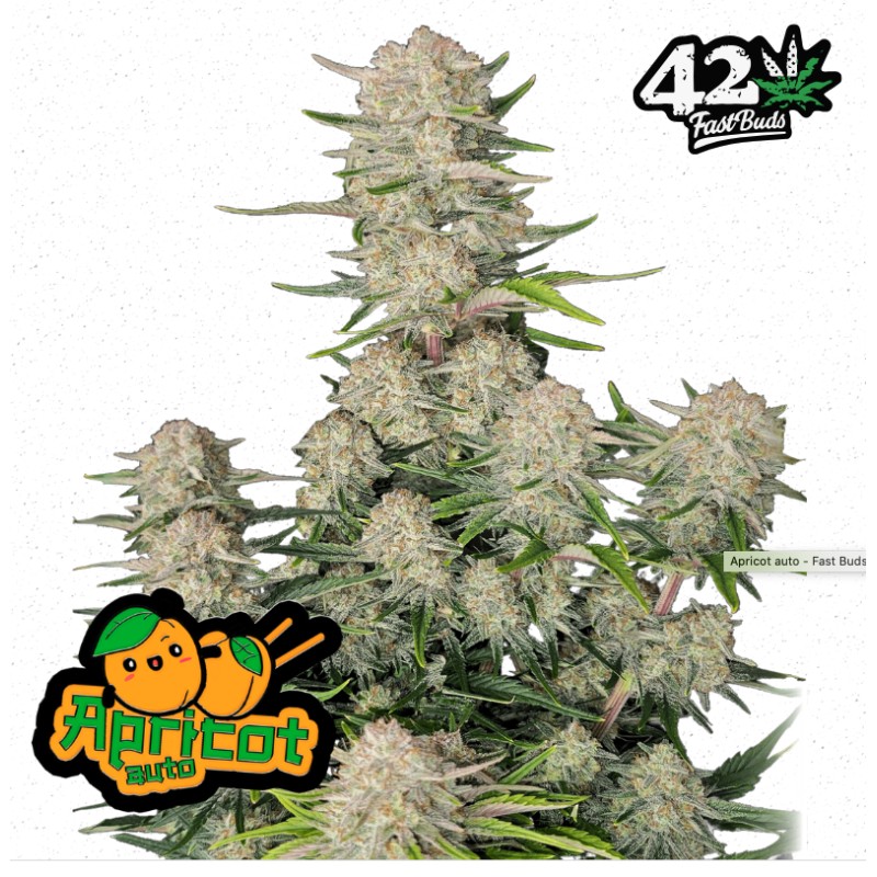 Apricot Auto · FastBuds Seeds · cannabis seeds · AutoFem