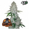 Gorilla Glue Auto · FastBuds Seeds · kenevir tohum · Disi · AutoFem